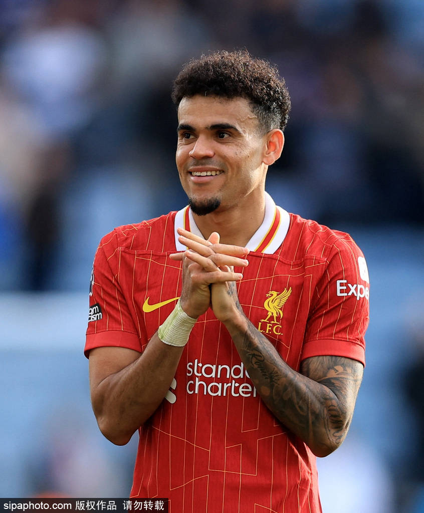 无论是团队 无论是团队