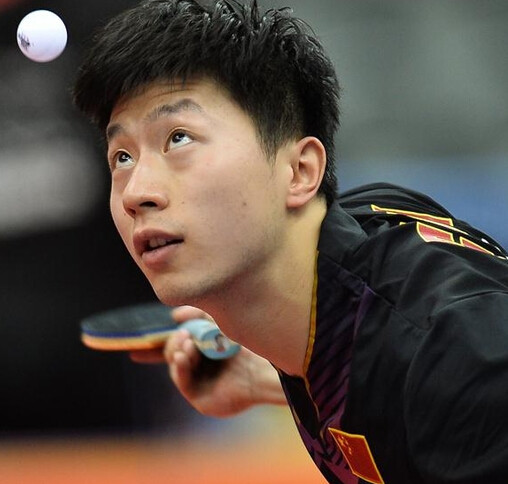 选会籍分布 选会籍分布