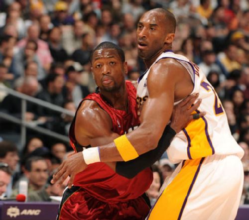 和观赏性 和观赏性